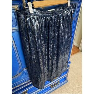 Vintage Sequin Silk Skirt Surjit & Adarsh Gill 14